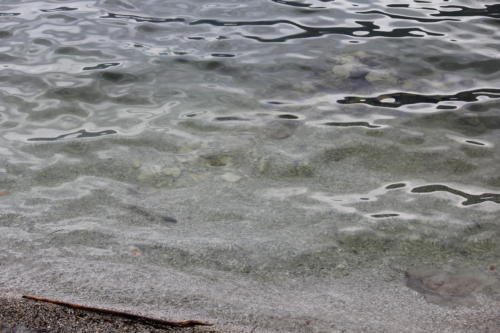 Idro Ostern2019 0037