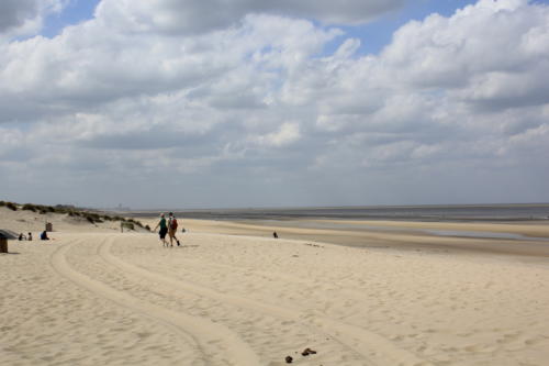 DeHaan Mai2019 0031