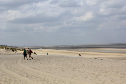 DeHaan Mai2019 0032