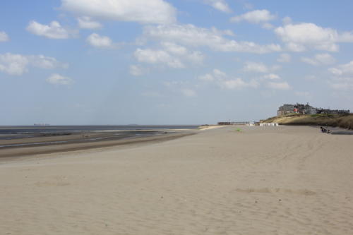 DeHaan Mai2019 0033