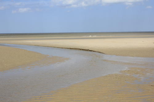 DeHaan Mai2019 0040