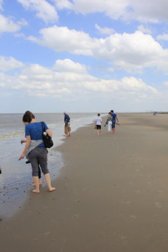 DeHaan Mai2019 0043